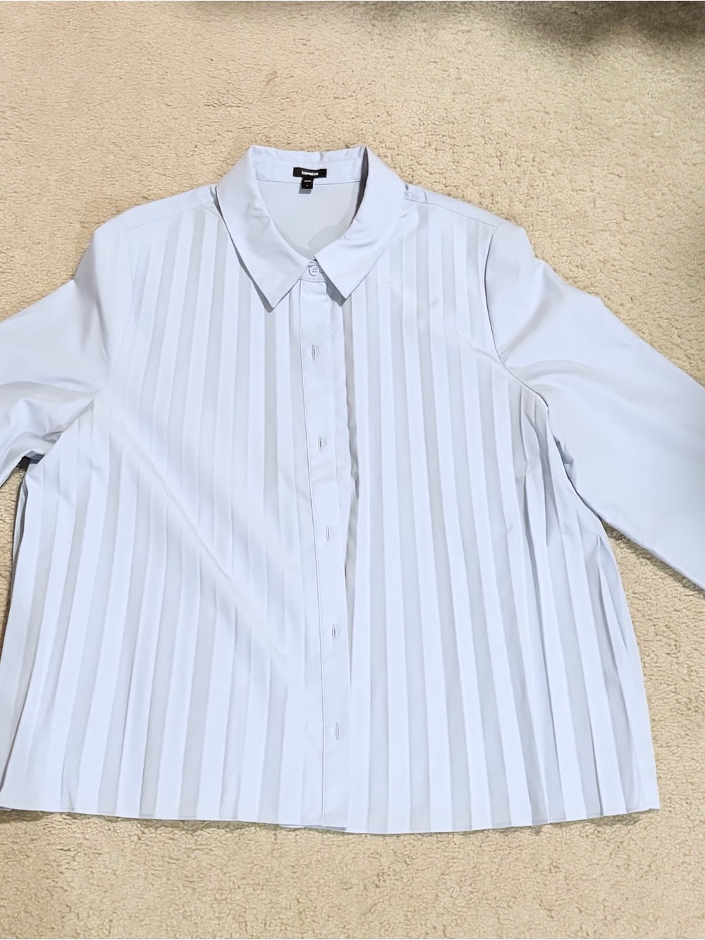 Women’s powder blue pleated blouse